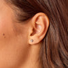 Francesca Silver Crystal Stud Earrings