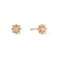 Francesca Stud Earrings Gold & Pink