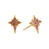 Cosima Star Stud Earrings Gold & Pink