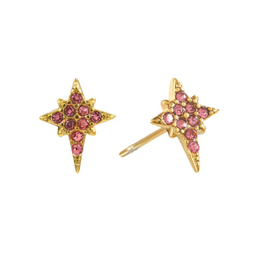Cosima Star Stud Earrings Gold & Pink
