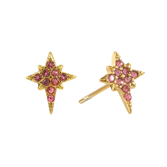 Cosima Star Stud Earrings Gold & Pink