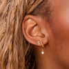 Molly Gold Crystal Stud Earrings