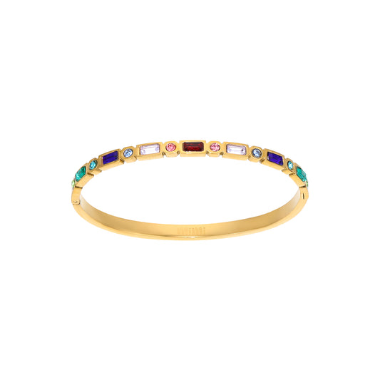 Tanieta Gold Rainbow Organic Bangle