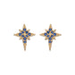Cosima Star Stud Earrings Gold & Blue