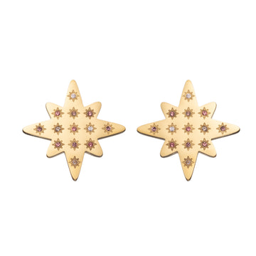 🎁 Kiki Gold Multi-Pink Star Stud Earrings (100% off)
