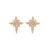 Cosima Star Stud Earrings Gold & Pink